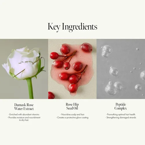 Miniatura 3 de Tratamiento Rosy Night de ampollas capilares para cabello dañado – Fórmula de reparación de agua a crema con péptidos y aminoácidos – Control