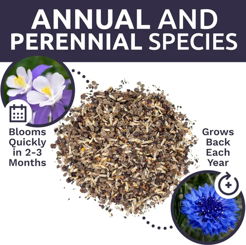 Miniatura 8 de Wildflower Seeds Mezcla de sombra parcial, 1 onza más de 7,000 semillas anuales y perennes polinizadas abiertas