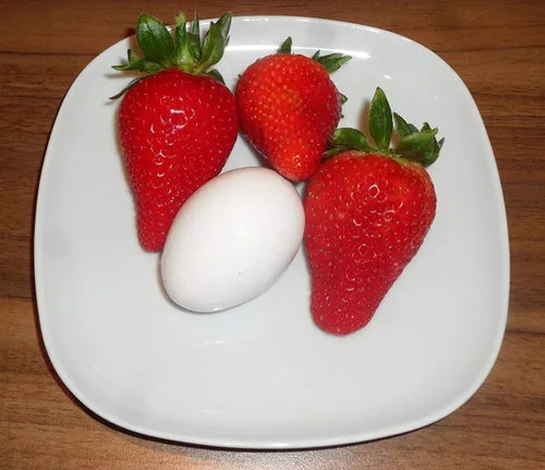Miniatura 2 de 300 semillas de fresa gigante, fresa roja dulce/semillas orgánicas de fruta de fresa, para plantar en el jardín en casa