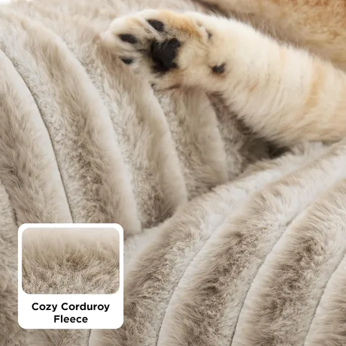 Miniatura 4 de Bedsure ComfyFleece Lindo sofá para gatos para mascotas, camas esponjosas para gatos con forro polar de pana suave de alta calidad, camas esponjosas