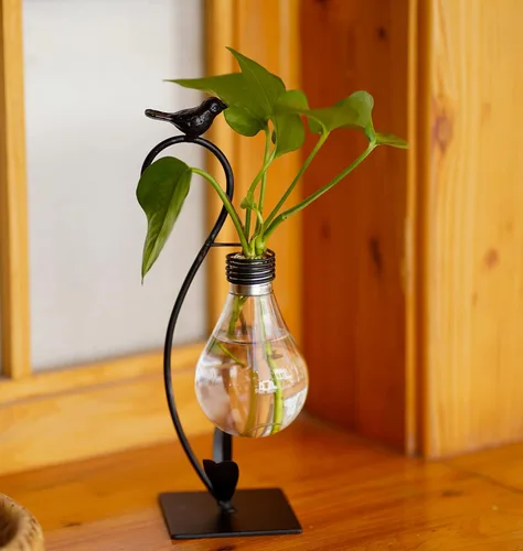 Miniatura 3 de Terrario de plantas, jarrones hidropónicos para decoración del hogar, moderno soporte creativo para terrario de pájaros, regalos ideales