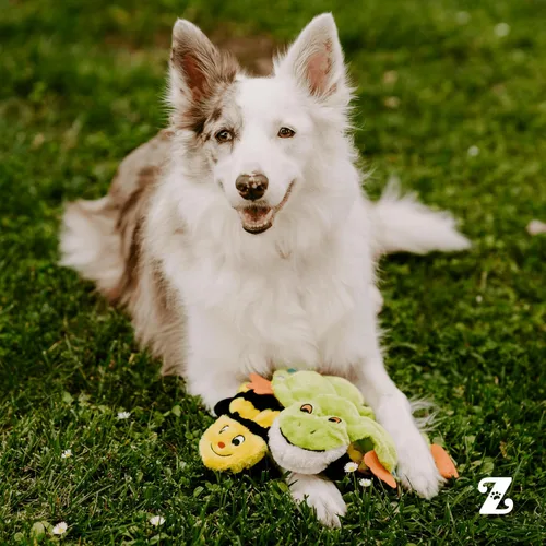 Miniatura 6 de ZippyPaws Squeakie Crawler - Juguete para perros sin relleno para mantenerlos ocupados, para perros pequeños, medianos y grandes, juguete chirriante