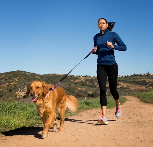 Miniatura 2 de HALTI Active Strap - Correa elástica para perro, galardonada correa elástica para perro, absorbe los golpes, cinturón acolchado de neopreno todo
