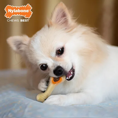 Miniatura 2 de Nylabone Hueso de Nuca Bone Pop-In Juguetes de Golosinas Poderosas para Perros, Juguetes Interactivos Dispensadores de Golosinas y Enriquecimiento