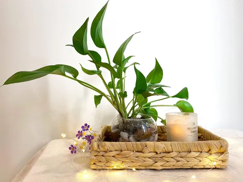 Miniatura 5 de Toallero tejido rústico de hierba marina para spa, jacinto de agua de granja, servilleta para escritorio