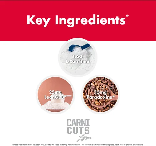 Miniatura 6 de NutraOne CarniCuts Xtreme Piña