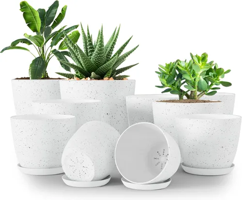 Miniatura 21 de Utopia Home - Macetas de Interior con Drenaje - Macetas de Flores de 7/6.6/6/5.3/4.8 Pulgadas para Plantas de Interior - Juego de 5 Macetas