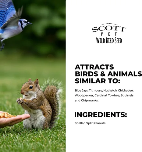 Miniatura 6 de Scott Pet Semillas para Aves Silvestres, Cacahuetes Partidos (Sin Cáscara), Bolsa de 8 libras, Gran Fuente de Proteína y Fibra, Cacahuetes para Aves