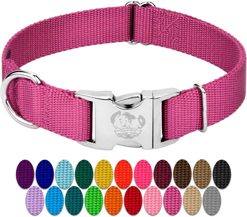 Country Brook Petz – Collar de nailon premium para perro con hebilla de metal para razas pequeñas, medianas y grandes – Más de 10 colores cálidos