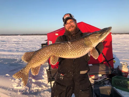 Miniatura 8 de Catch Co Mystery Tackle Box ICE Fishing Kit