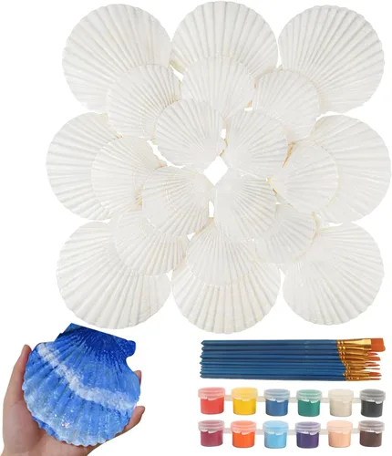 Miniatura 8 de 16 conchas de vieira natural, concha marina natural, de 4 a 5 pulgadas, conchas de vieira grandes blancas con pinceles y tiras de pintura acrílica