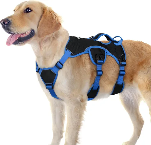Miniatura 32 de rabbitgoo - Arnés para perro a prueba de fugas, arnés para mascotas acolchado suave de cuerpo completo, chaleco reflectante ajustable sin tirones