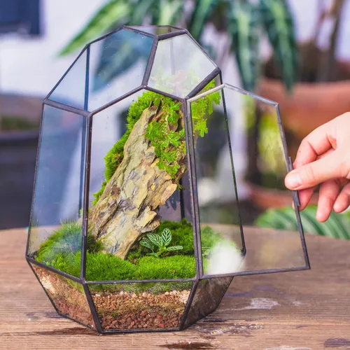 Miniatura 3 de NCYP Cerrar Terrario geométrico de vidrio con puerta, maceta irregular de 9.8 pulgadas de alto para suculentas, cactus pequeños, decoración moderna