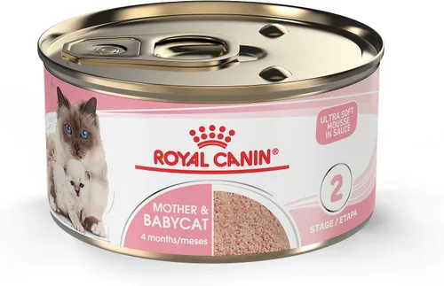 Miniatura 12 de Royal Canin Feline Health Nutrition Mother & Babycat Queen - Mousse en salsa ultra suave para gatos, 3 onzas (paquete de 6)