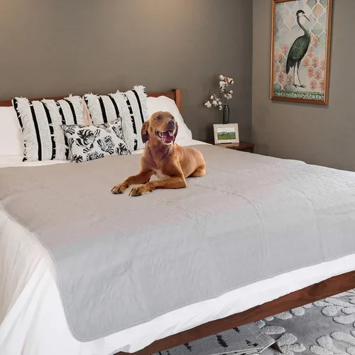 Miniatura 8 de rocket & rex Premium XL Almohadilla Lavable Antideslizante para Orina de Perros, Almohadilla para Cachorros Impermeable y Reutilizable