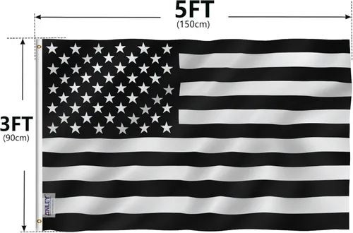 Miniatura 7 de Bandera histórica de los Estados Unidos Blanco