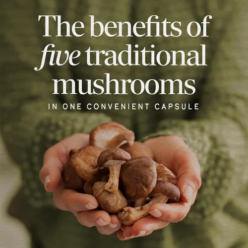 Miniatura 2 de Nature's Way Mezcla de 5 hongos, con melena de león, shiitake, reishi, maitake, hongo chaga, 60 cápsulas veganas