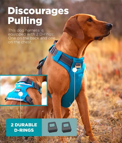 Miniatura 3 de Outward Hound Boulder Adventure - Arnés ajustable para perro con bolsillos, turquesa, mediano