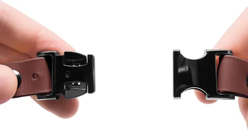 Miniatura 4 de Educator Correa elástica de 1 pulgada para collar de perro con cierre rápido para receptores FE-580, ET-800 y UL-1200 solamente, no para Negro