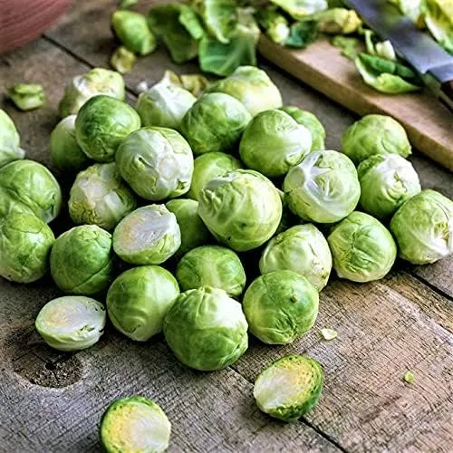 Churchill Brussel Sprout Seeds - Paquete de 100 semillas - Una variedad vigorosa y fácil de cultivar para diversos climas - Country Creek LLC