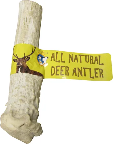 Miniatura 3 de QT Dog Medium Antlers - Masticable para perros 100% natural de larga duración, lleno de proteínas de origen ético y masticadores dentales bajos