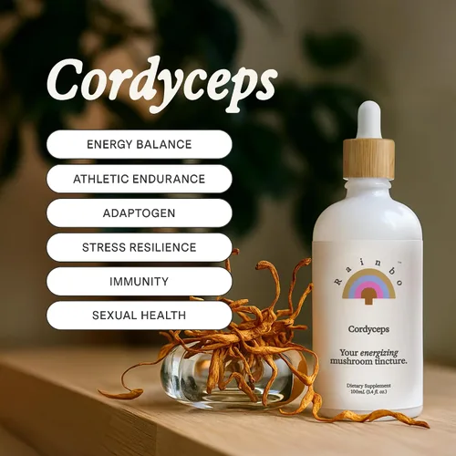 Miniatura 2 de Rainbo - Tintura de hongos Cordyceps - Suplemento de hongo de extracto dual - Apoyo inmunológico, energía, suplemento Cordyceps líquido, vegano, sin