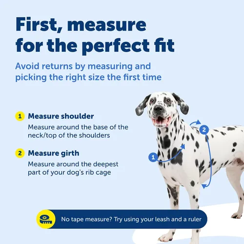 Miniatura 6 de PetSafe Arnés 3 en 1 – Cómodo arnés de pecho Easy-Walk para perro con accesorio de correa frontal para reducir tirones, ahogamiento y arcadas – Negro