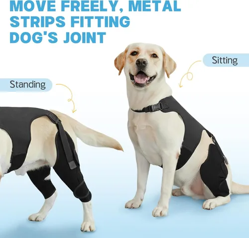 Miniatura 7 de Rodilleras para perro para pierna trasera, soporte ajustable para piernas con 2 estabilizadores, soporte de cadera para reducir el dolor, lesiones