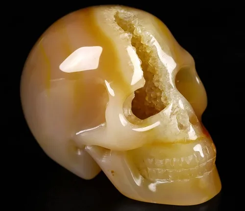 Skullis 2.0 "ágata geoda cráneo de cristal, escultura de arte fino de piedras preciosas talladas a mano, estatua de piedra curativa de Reiki.1396