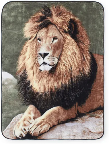Miniatura 8 de Shavel Home Products Manta de lujo de pelo alto de gran tamaño, felpa y cálida, 60 x 80 pulgadas, tigre blanco