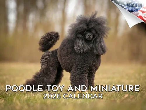 Miniatura 67 de Calendario 2025 2026 de cachorros Cocker Spaniel - Calendario mensual de pared de raza de perro - 12" x 24" abierto - Papel grueso sin sangrado