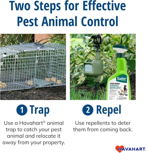 Miniatura 7 de Havahart Trampa mediana para animales de captura y liberación humana de 1 puerta para conejo, mofeta, visón y ardilla, trampa de captura en vivo