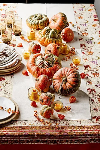 Miniatura 4 de TomorrowSeeds - Turk's Turbante Semillas de calabaza - Más de 20 unidades - Para plantar en 2025 en Estados Unidos Jardín Vegetal Calabaza Calabaza