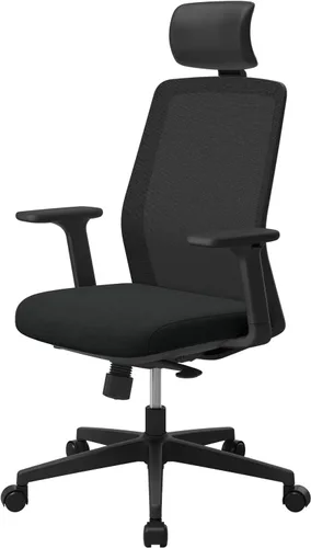 SIDIZ Silla de oficina ergonómica T40 SE: cómoda silla de oficina en casa para usuarios ligeros con bloqueo de inclinación reclinable, T40 Se |