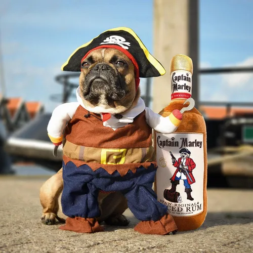 Miniatura 4 de Bark Bros - Juguete de perro botella de licor - Juguetes de perro de felpa chirriantes divertidos parodia de bebida - Juguete de perro de alcohol