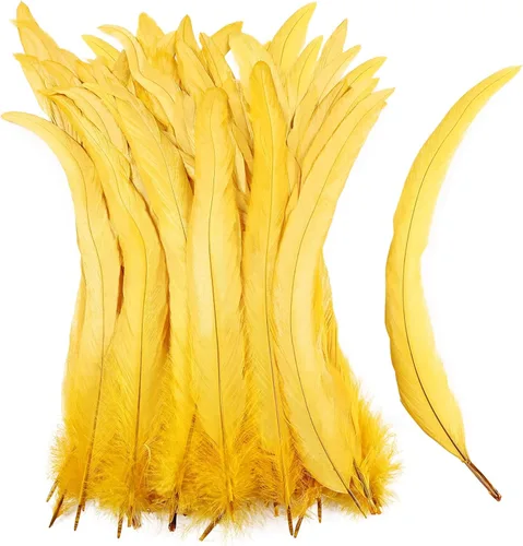 Miniatura 19 de iHUFeather Plumas de cola de gallo naturales, 50 plumas de cola de gallo de 10 a 12 pulgadas de largo, a granel para manualidades, disfraces