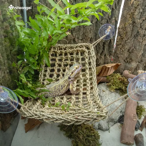 Miniatura 4 de Niteangel Hamaca de Dragón Barbudo Tumbona de Reptiles para Camaleón, Lagartos, Gecko, Serpientes, Reptiles Iguana, Tortugas (Rectángulo 16'' x 8'')