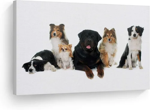 Miniatura 24 de Diseño de arte de la sonrisa Retrato de lindo Yorkie Yorkshire Terrier perro animal lienzo de pared impresión arte del dueño de mascotas amante