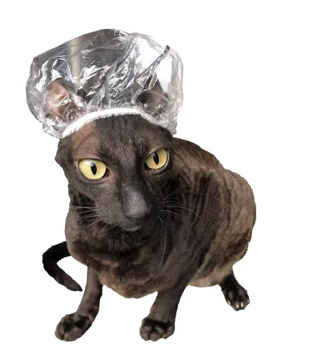 Miniatura 3 de Gorros de ducha para gatos Sphynx y mascotas pequeñas, paquete de 20 bolsas de polietileno, protección de baño impermeable con banda elástica