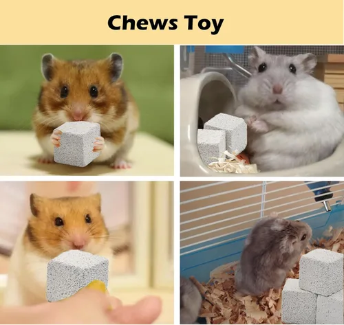 Miniatura 6 de PINVNBY 20 bloques de lava para conejos, bloque de lava de chinchillas, hámster, piedra mineral, animales pequeños, piedras cuadradas de calcio