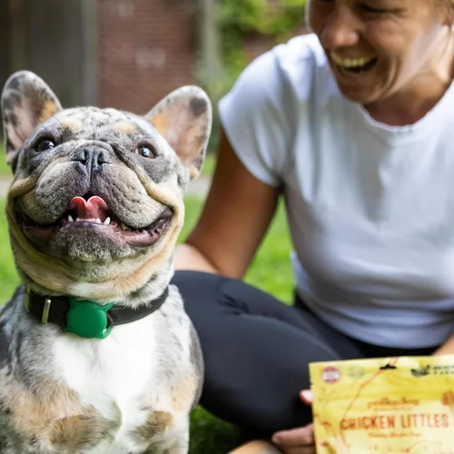 Miniatura 8 de Polkadog Chicken Littles - Trozos crujientes de entrenamiento para perros, todos naturales, golosinas de entrenamiento saludables con ingredientes