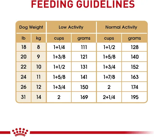 Miniatura 9 de Alimento seco Royal Canin Breed Health Nutrition para perros French Bulldog adultos, bolsa de 6 lb