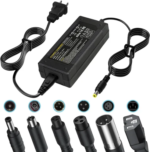 PUKOKAL Cargador de 29.4V 2A Hoverboard Cargador universal de batería de litio de 24 V con 7 enchufes para scooter eléctrico GoTrax G1 Edge Nova GKS