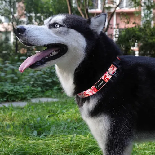 Miniatura 3 de Collar de perro para perros grandes - Diseño especial lindo collar de perro para niña, suave, ajustable, floral, para cachorro, para perros