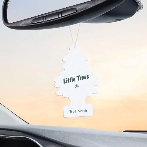 Miniatura 4 de Little Trees Ambientadores, True North (paquete de 12)