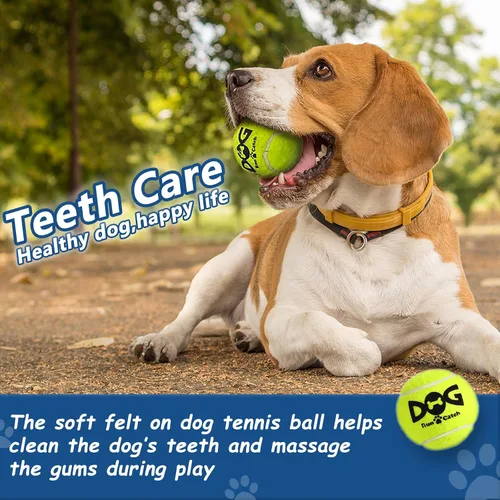 Miniatura 3 de INSUM Pelotas de tenis para perros, paquete de 12 pelotas duraderas no tóxicas de juguetes para perros al aire libre con bolsa de malla, certificado