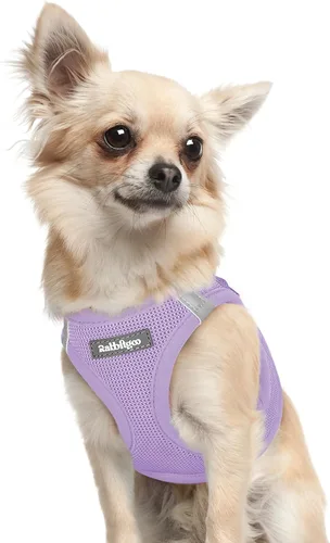 Miniatura 82 de rabbitgoo Arnés para perro pequeño, chaleco de malla suave para cachorros con hebilla de seguridad, arnés reflectante transpirable para mascotas