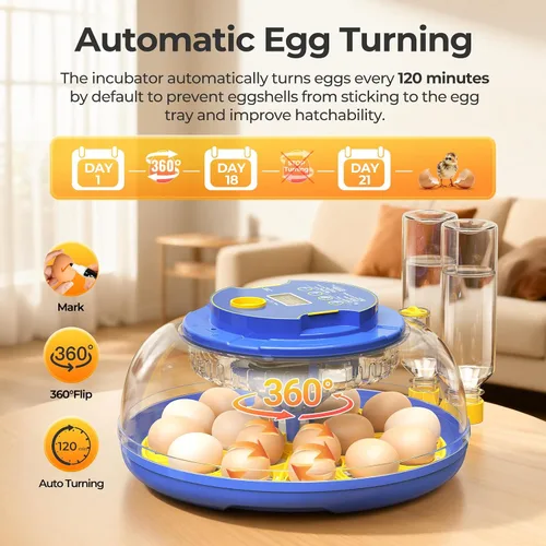 Miniatura 5 de 18 incubadoras de huevos para incubar huevos, vista de 360° con volteo automático de huevos y control de humedad, ovoscopio integrado para incubar