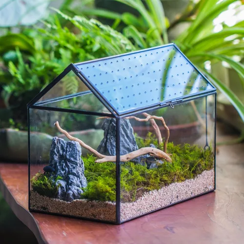 Miniatura 6 de NCYP Terrario de cristal con forma de casa con tapa acrílica, 10.2 x 5.9 x 8.2 pulgadas, caja de terrario geométrica grande de mesa para caracoles