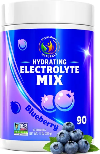 Polvo de hidratación de arándanos – Mezcla de bebida de electrolitos sin azúcar | 90 porciones | Keto, vegano, sin gluten | electrolitos naturales